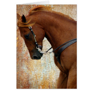 Cartão Grunge ocidental da azeda do cavalo