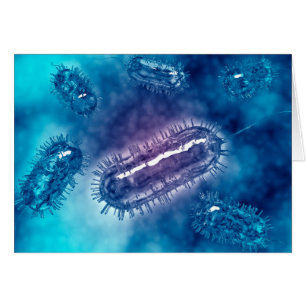 Cartão Grupo De Bactérias Escherichia Coli 1