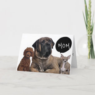 CARTÃO GRUPO DE CÃES *MELHOR ANIVERSÁRIO QUE A MÃE* DE