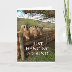 CARTÃO GRUPO DE CAVALOS LEGAL DIZ "ANIVERSÁRIO FELIZ"