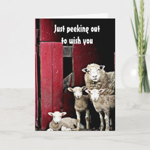 CARTÃO "GRUPO DE OVELHA" DESEJA-LHE *NATAL DE MERCADORIAS