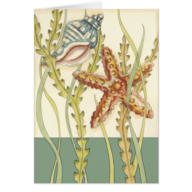 Cartão Grupo de Shell Multicolores (Frente)