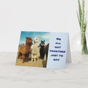 CARTÃO GRUPO DIZ **ESPERO QUE SEU ANIVERSÁRIO SEJA FABUL