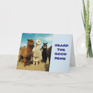 CARTÃO GRUPO DIZ **REFORMA-VOCÊ ESTÁ GRATUITAMENTE APROVE