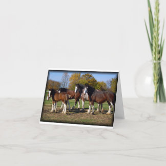 Cartão grupo do clydesdale
