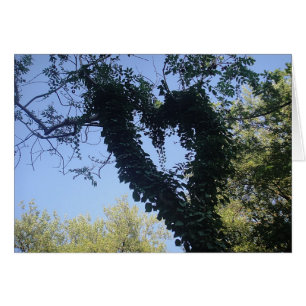 Cartão Grusskarte Baumherz, cobertor