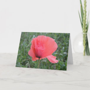 Cartão Grusskarte escreveu Mohnblume: Tenha um dia feliz
