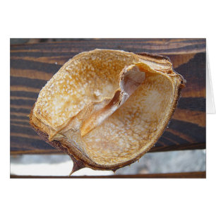 Cartão Grusskarte Kastanienschale, blanko