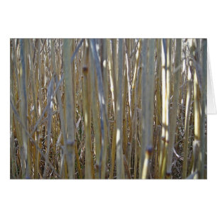 Cartão Grusskarte Kornstengel, cobertor, barra gestaltbar