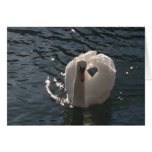 Cartão Grusskarte romantischer weisser Schwan