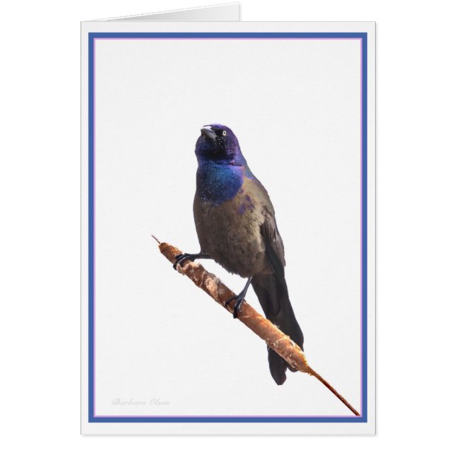 Cartão Gruta comum (Frente)