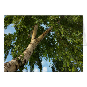 Cartão guarda-chuva de pássaro