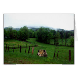 Cartão Guardião do Campo Esmeralda