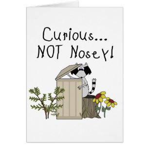 Cartão Guaxinim curioso