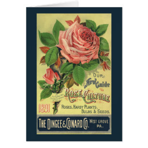 Cartão Guia de Vintage para o Cobrir do Livro de Cultura