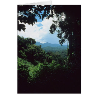Cartão GUIANA FRANCÊS: Visão da floresta chuvosa