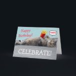 Cartão Guilty Cat Funny Birthday<br><div class="desc">Cartão de aniversário bonito e bobo com um gatinho culpado e um bolo de aniversário perdido! Personalize as mensagens e divirta-se a criar a sua saudação especial. Obrigados por olhar e esperar que goste! ©Christine Greenspan</div>