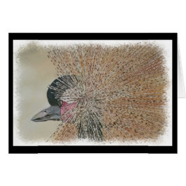 CARTÃO GUINDASTE AFRICANO LINDO