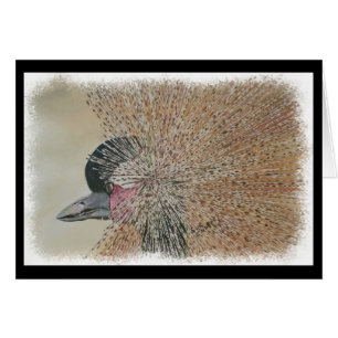 CARTÃO GUINDASTE AFRICANO LINDO