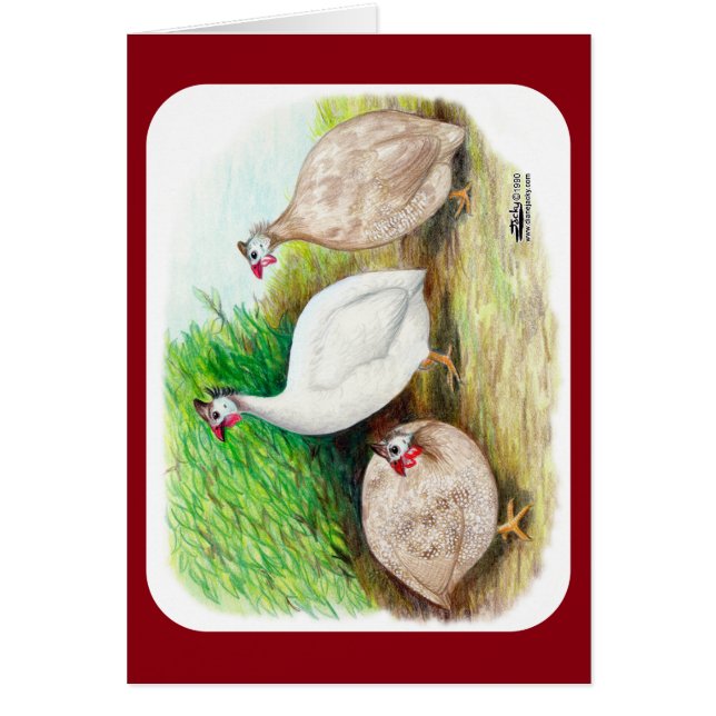 Cartão Guineense Fowl Outside (Frente)