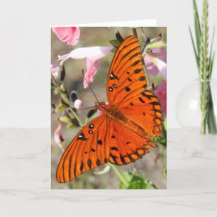 Cartão Gulf Fritillary Butterfly Notecard