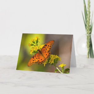 Cartão Gulf Fritillary também conhecida como Borboleta da