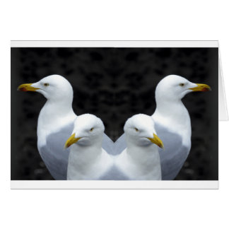 Cartão Gulls, Gulls, Gulls