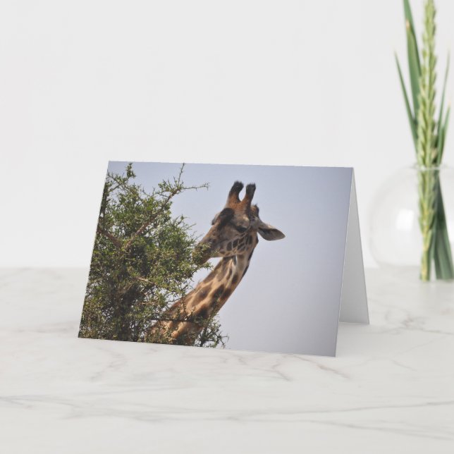 Cartão Guloseima (Frente)