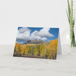 Cartão Gunnison National Forest, Colorado