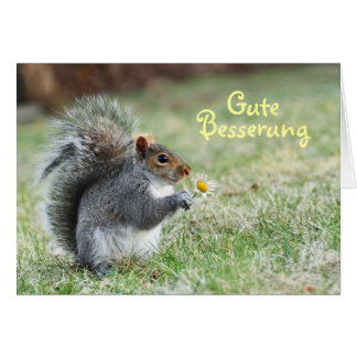 Cartão Gute Besserung Cute Squirrel Card