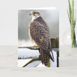 Cartão Gyrfalcon