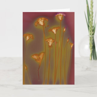 Cartão H.A.S. Artes cartão, detalhe do Lough da imagem