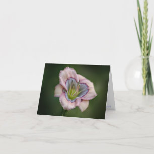 Cartão H. Heavenly Blues Note Card