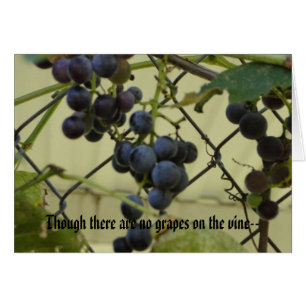 Cartão Habakkuk 3; 17,18, uvas