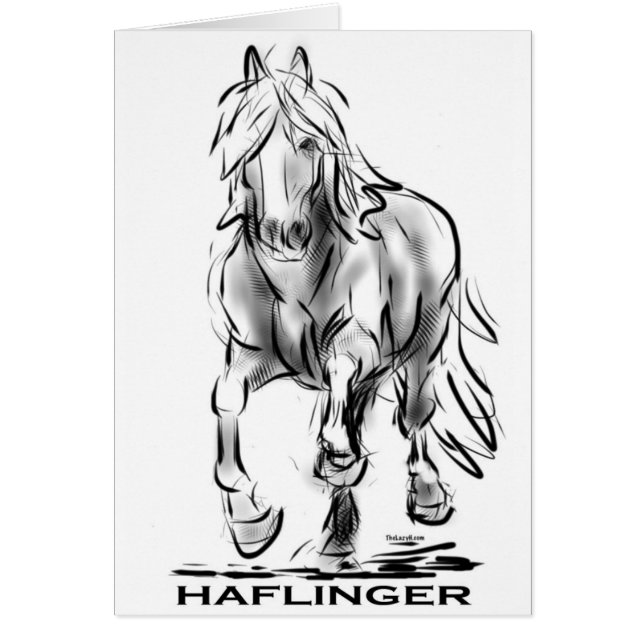 Cartão Haflinger (Frente)