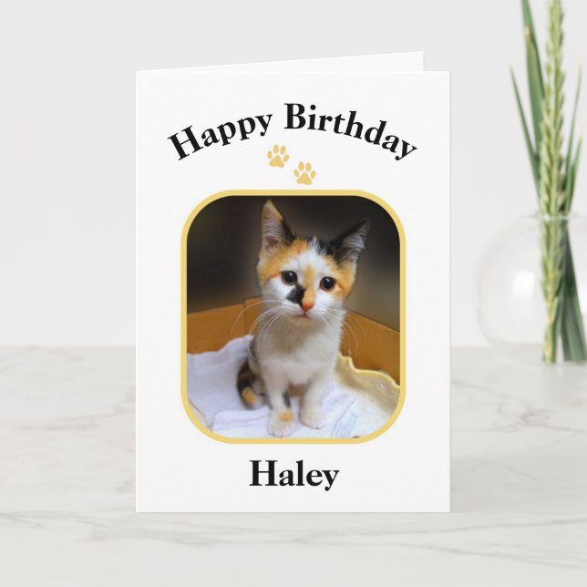 Cartão Haley Calico Kitten Feliz Aniversário (Frente)