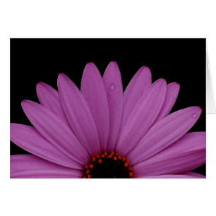 Cartão Half Daisy