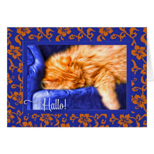 Cartão Hallo! Laranja de língua alemã Tabby Cat Blue