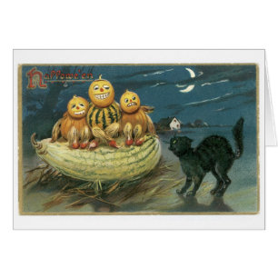 Cartão Halloween antigo, Pumpkins e gato preto