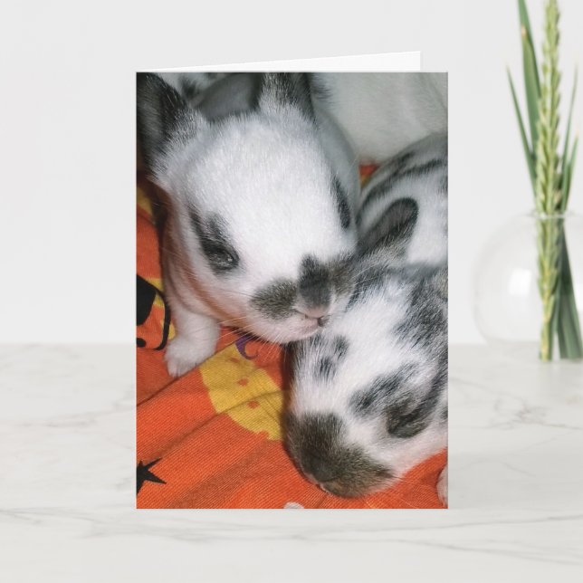 Cartão Halloween Bunnies (Frente)