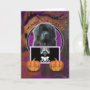 Cartão Halloween - Just a Lil Spooky - Newfoundland