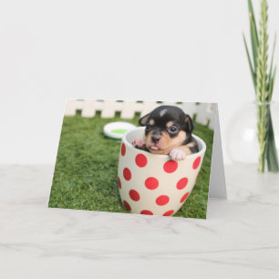 Cartão HAMbWG - Greeting Card - TeaCup Puppy