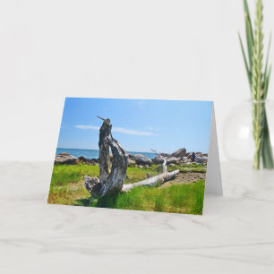Cartão Hammonasset Notecard