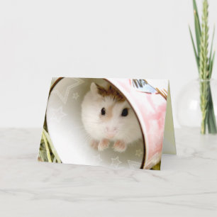 Cartão Hammyville - Hamster Bonito
