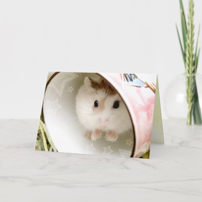 Cartão Hammyville - Hamster Bonito (Frente)