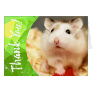 Cartão Hammyville - Hamster Bonito Obrigado