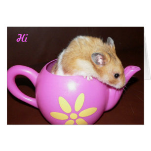 Cartão Hamster bonito
