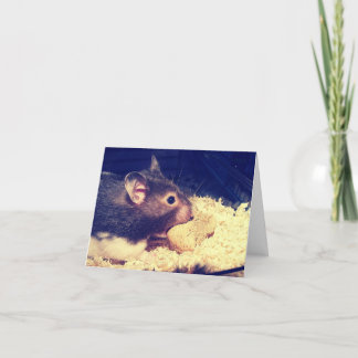 Cartão Hamster Fome