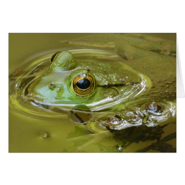Cartão Hangin na piscina (Frente Horizontal)