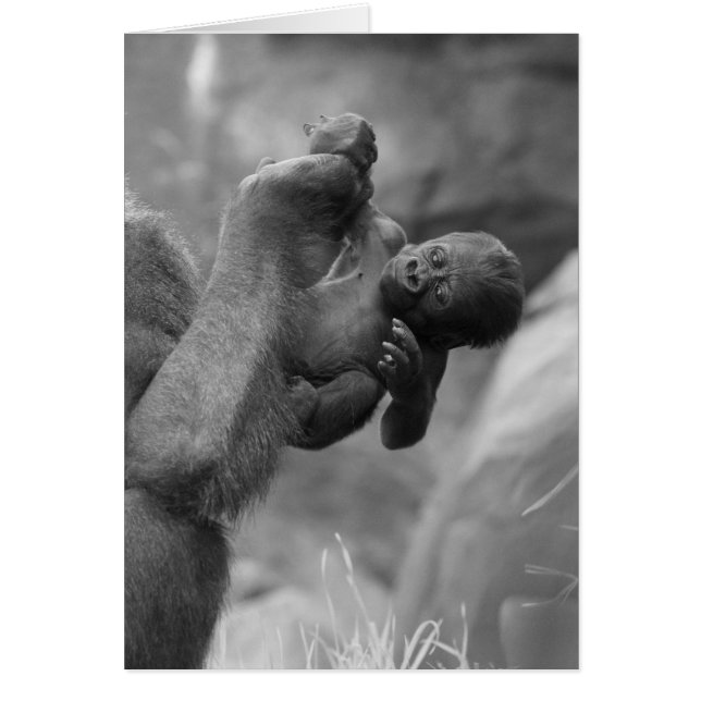 Cartão Hanging Gorilla Baby (Frente)